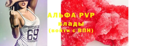 твердый Осташков