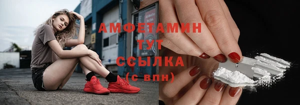 шишки Переславль-Залесский