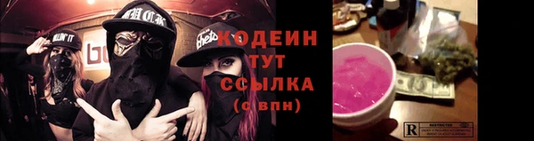 шишки Переславль-Залесский