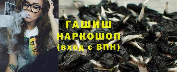 спиды Пестово