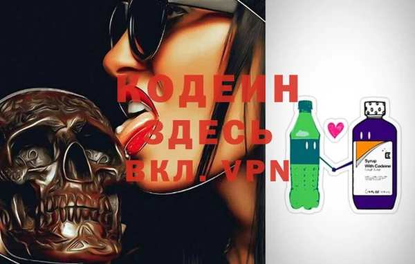 шишки Переславль-Залесский