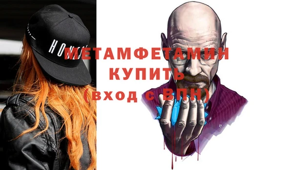 шишки Переславль-Залесский