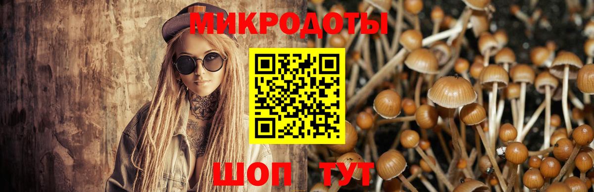 Стрежевой  Галлюциногенные грибы Cubensis  Галлюциногенные грибы Magic Shrooms  Вход с VPN 
